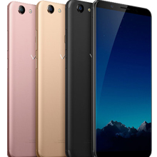 Vivo Y79